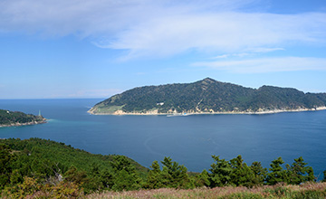 サンプルイメージ