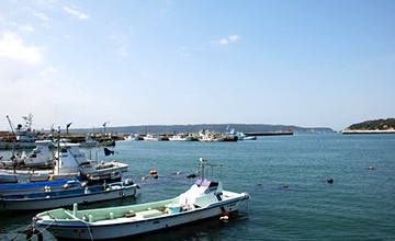 サンプルイメージ