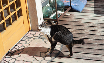 サンプルイメージ